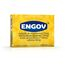 imagem do produto  Engov 24 Comprimidos